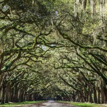 5Min To River Street, Dt - Spacious - Free Parking Savannah Exteriér fotografie