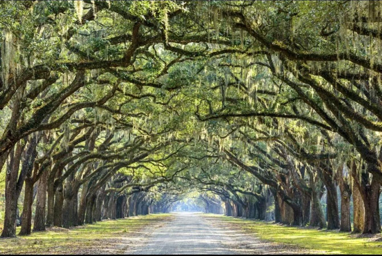 5Min To River Street, Dt - Spacious - Free Parking Savannah Exteriér fotografie